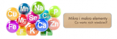 Mikro i makro elementy - co warto o nich wiedzieć?