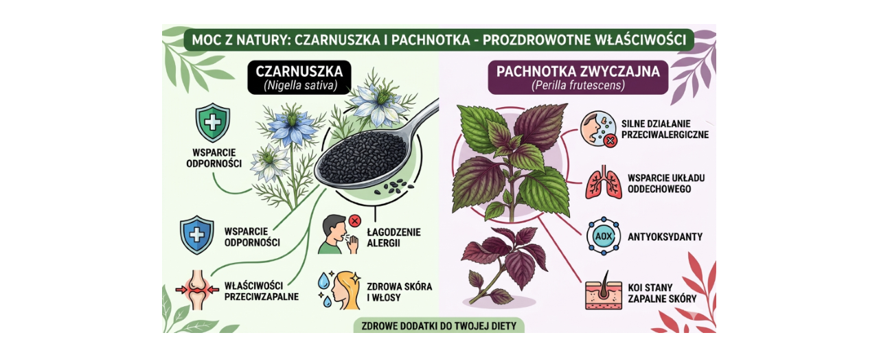 Czarnuszka i pachnotka – naturalne wsparcie w alergii, podwyższonym poziomie cukru i cholesterolu